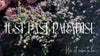 Just Past Paradise: How it came to be...